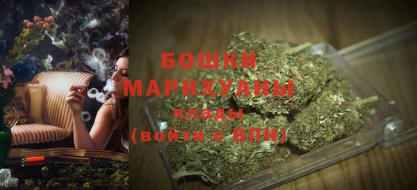 сатива Навашино