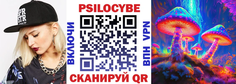 Галлюциногенные грибы Psilocybe  кракен ССЫЛКА  Фатеж 
